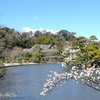 三渓園-159
