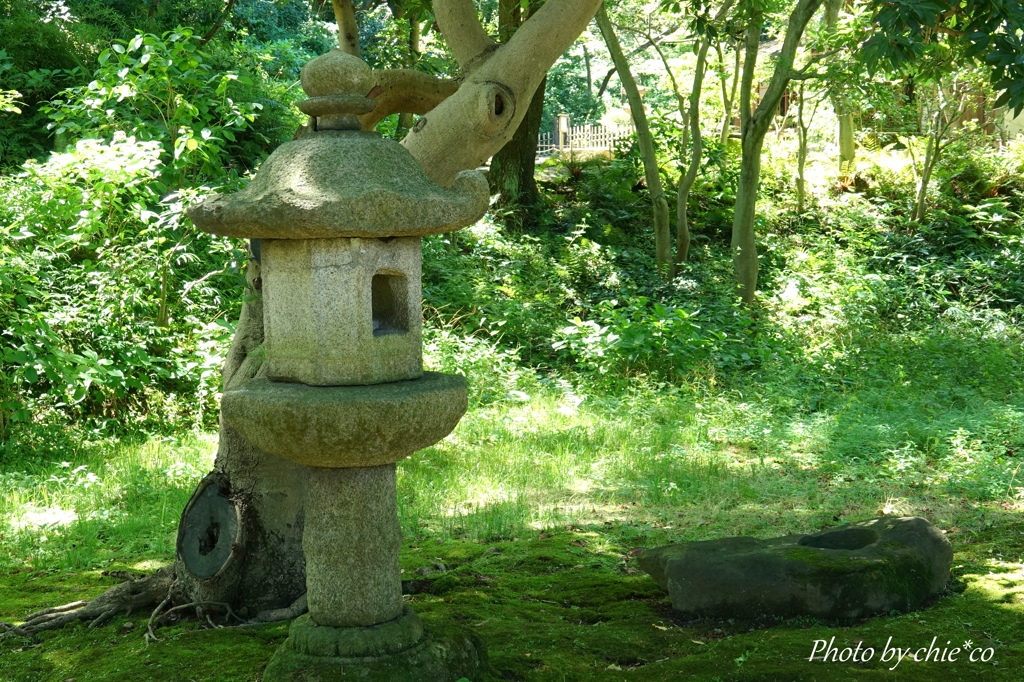 三渓園-158