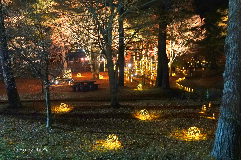 山中湖 紅葉ライトアップ-010