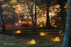 山中湖 紅葉ライトアップ-010