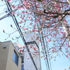 山下公園と・・-206