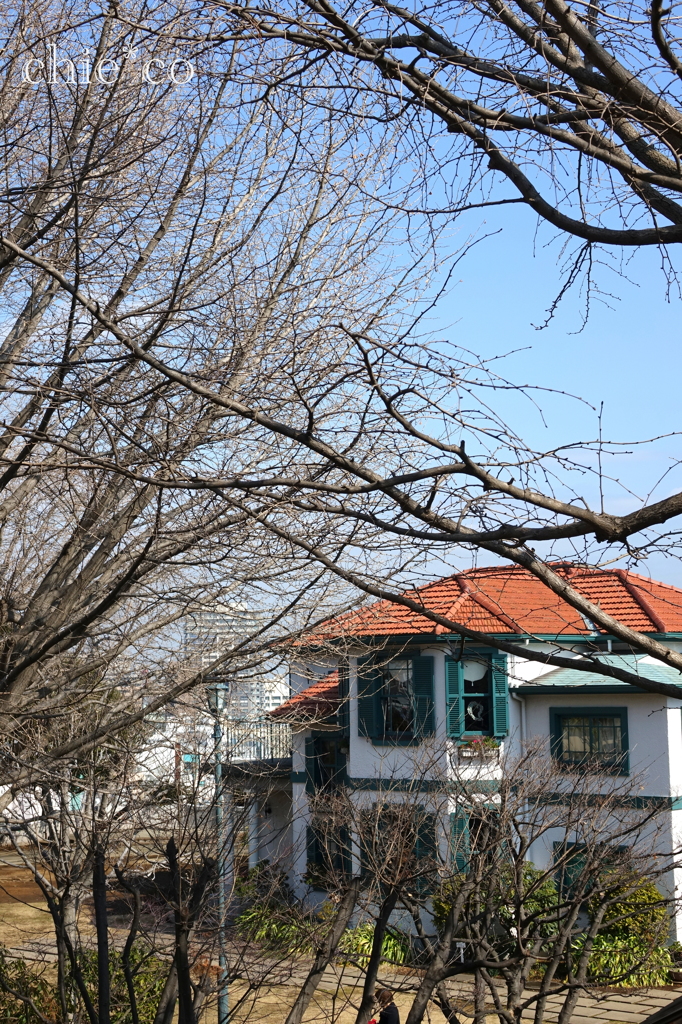山手イタリア山庭園-136