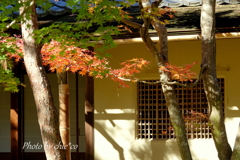 一条恵観山荘-095
