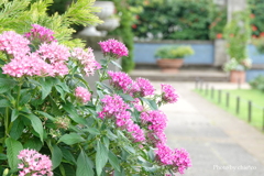 山手イタリア山庭園-144