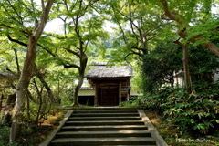 円覚寺-079