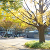 山下公園-125
