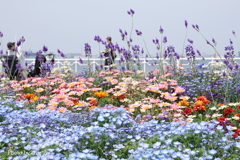 山下公園-138