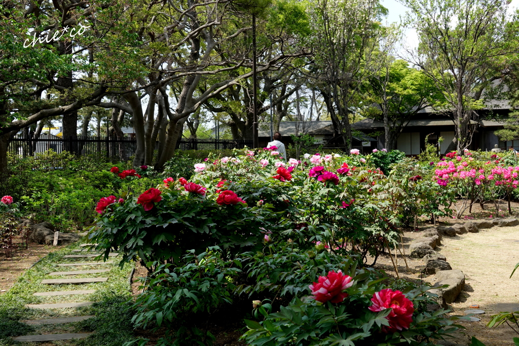 龍華寺 伊藤博文別邸-214