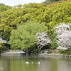 鎌倉-178