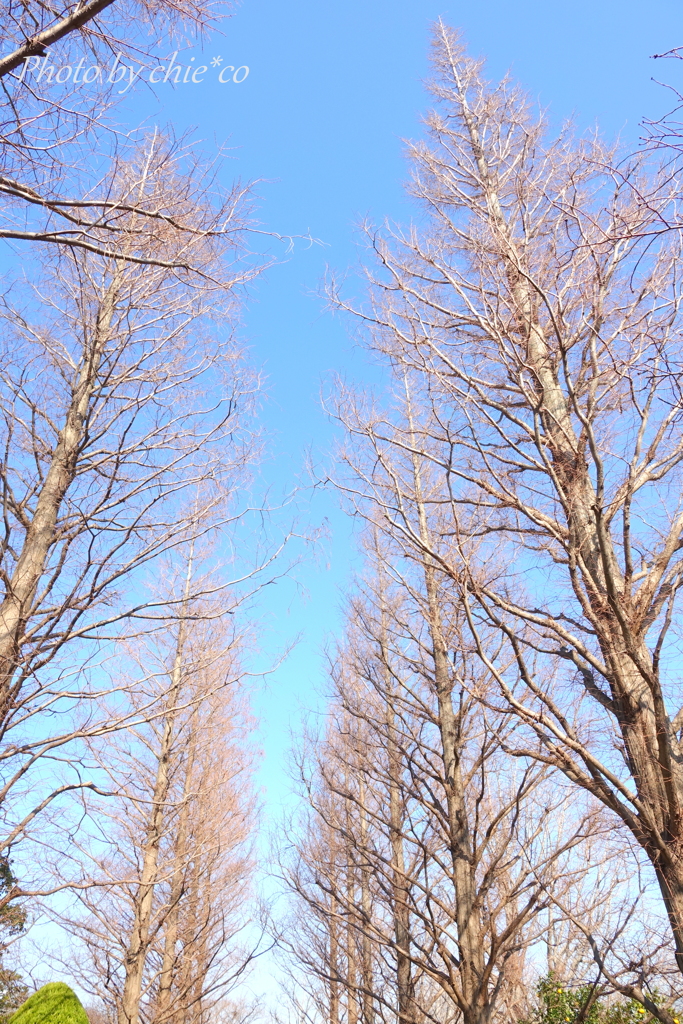 イタリア山庭園-137