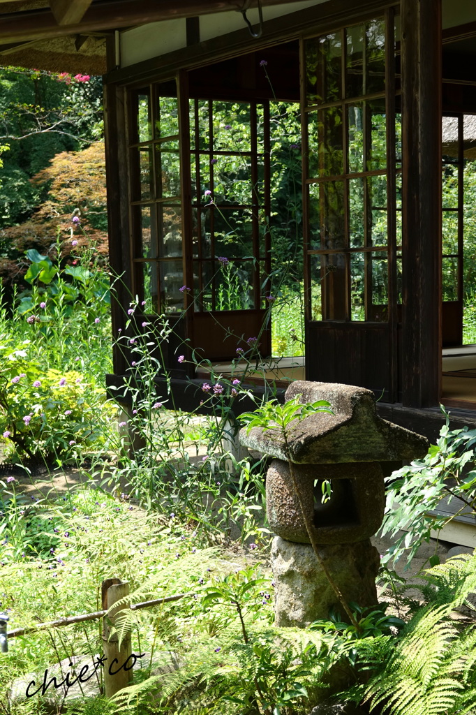 鎌倉-636