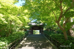 北鎌倉-169