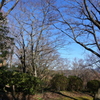 吾妻山公園-187