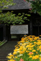 西方寺-176