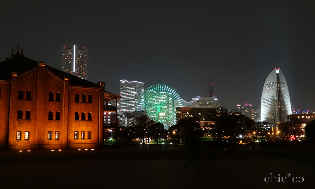 Yokohama-218