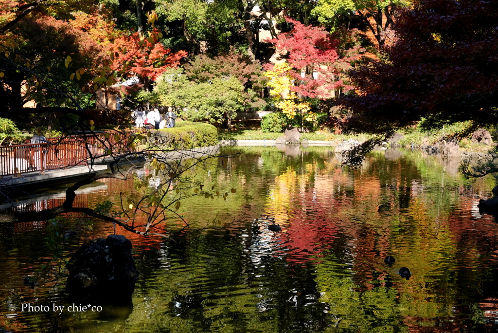 晩秋の横浜公園-008