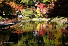 晩秋の横浜公園-008