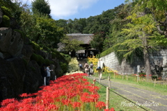 西方寺-238