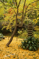 三渓園-307