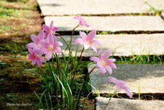 山手イタリア山庭園