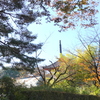 川越-078