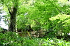 鎌倉-627