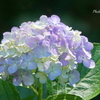 鎌倉-129