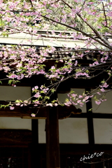 北鎌倉-271