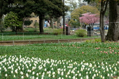 yokohama-120