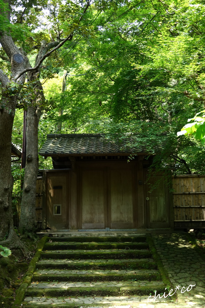 鎌倉-632