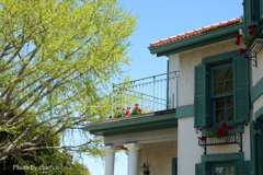 山手イタリア山庭園-133