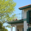山手イタリア山庭園-133