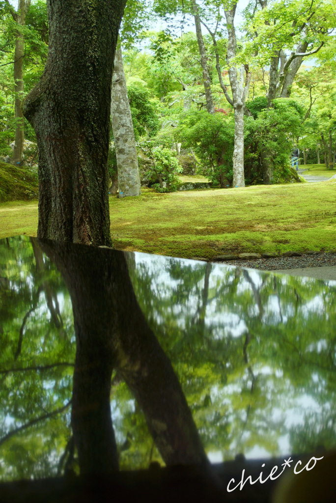 箱根美術館-172