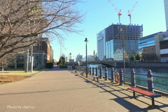 みなとみらい-024