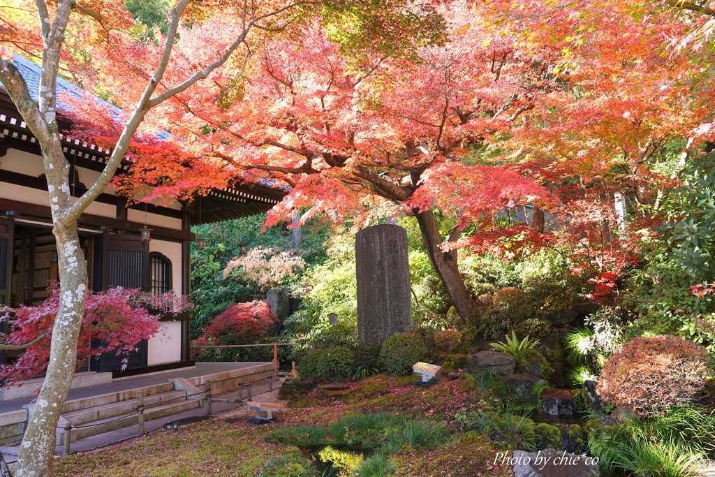 鎌倉長谷寺-127