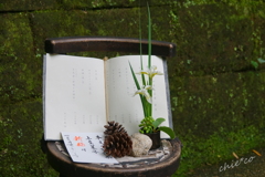 円覚寺-239