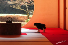 北鎌倉-280