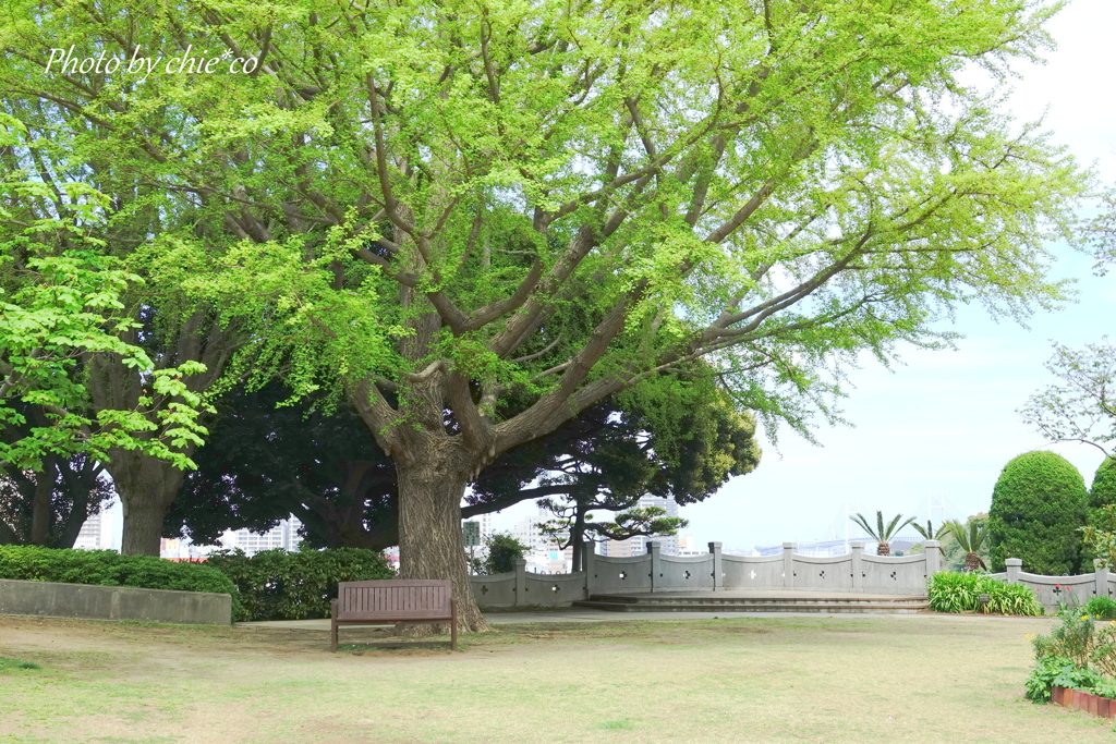 山手イタリア山庭園-109