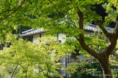 円覚寺-082