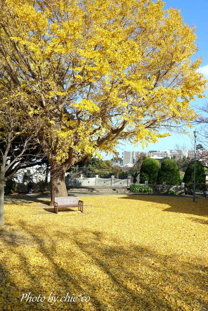 山手イタリア山庭園-187
