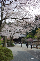 鎌倉-341