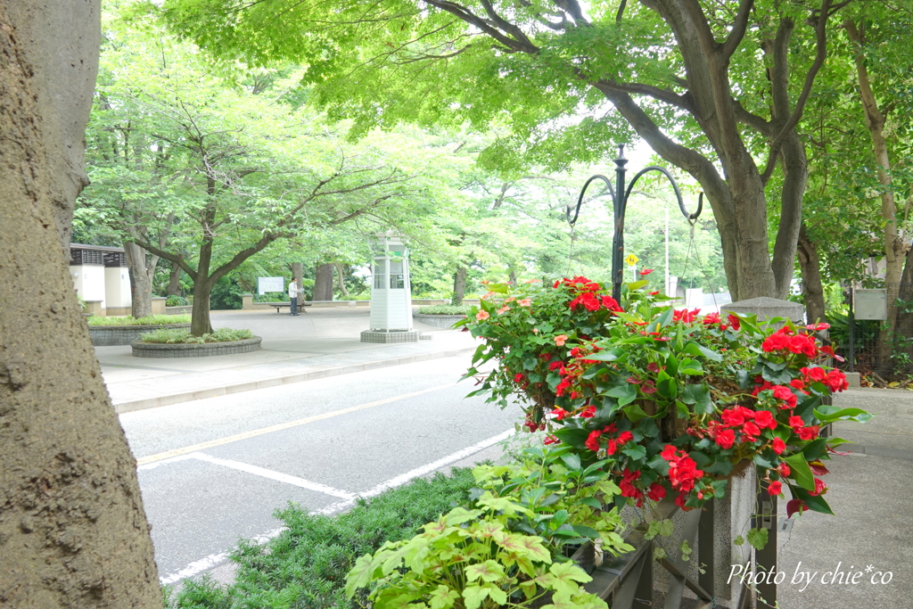 山手西洋館-307