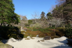 明月院-204