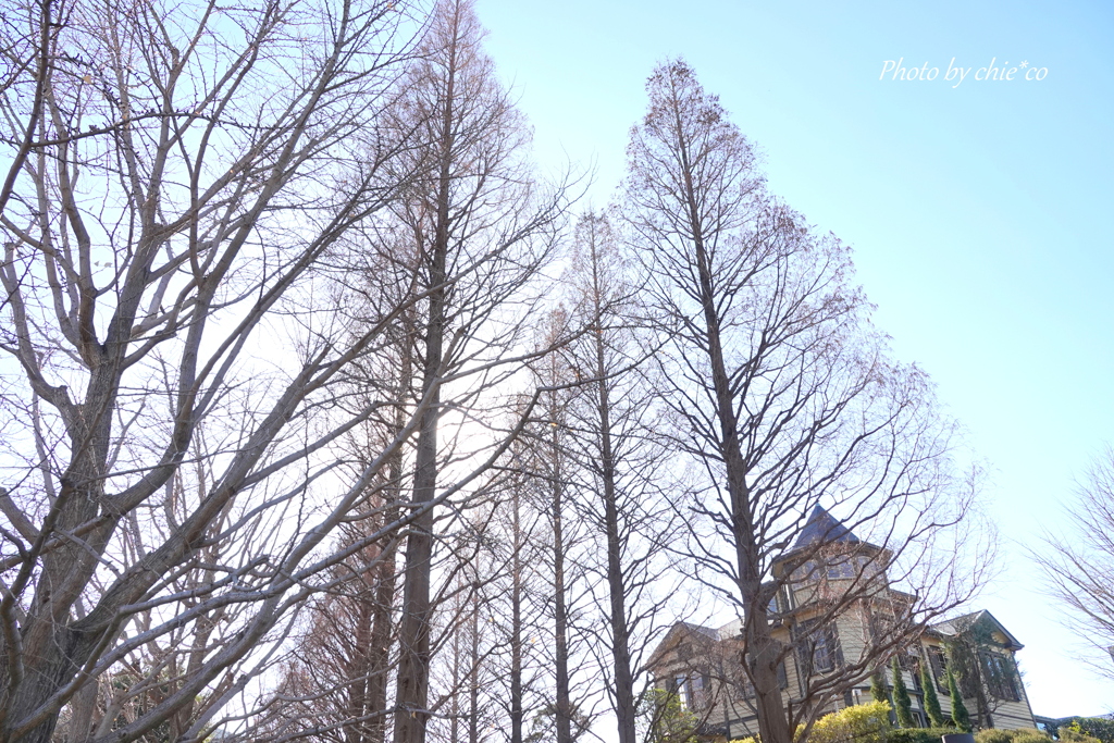 山手イタリア山庭園-111