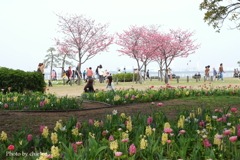 山下公園-175