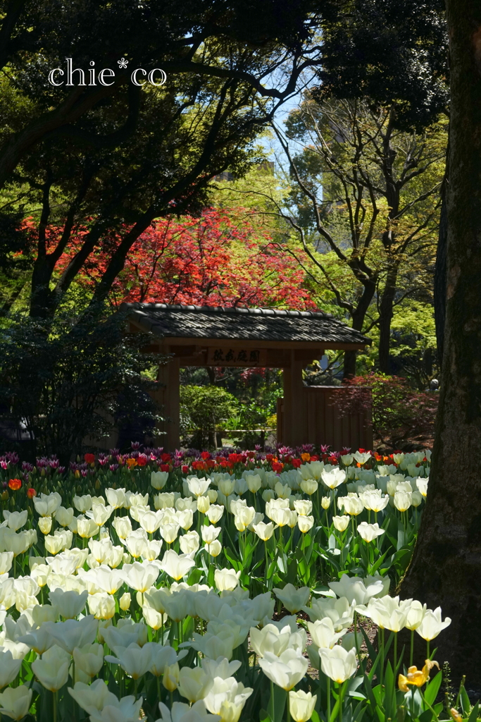 Yokohama-398