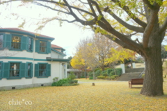 山手イタリア山庭園-251