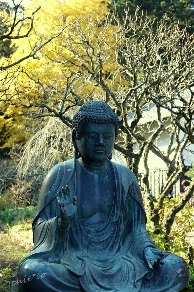 北鎌倉-353