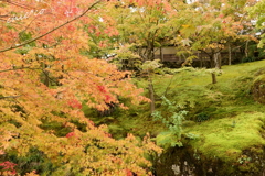 箱根美術館庭園-175