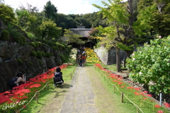 西方寺-199